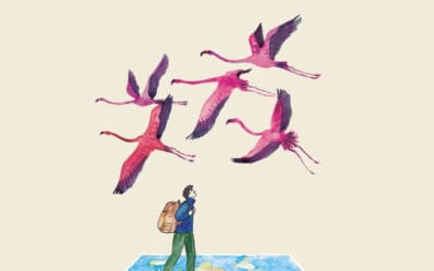 QUANDO MIGRANO, GLI UCCELLI SANNO DOVE ANDARE di Shahmani Usama Al